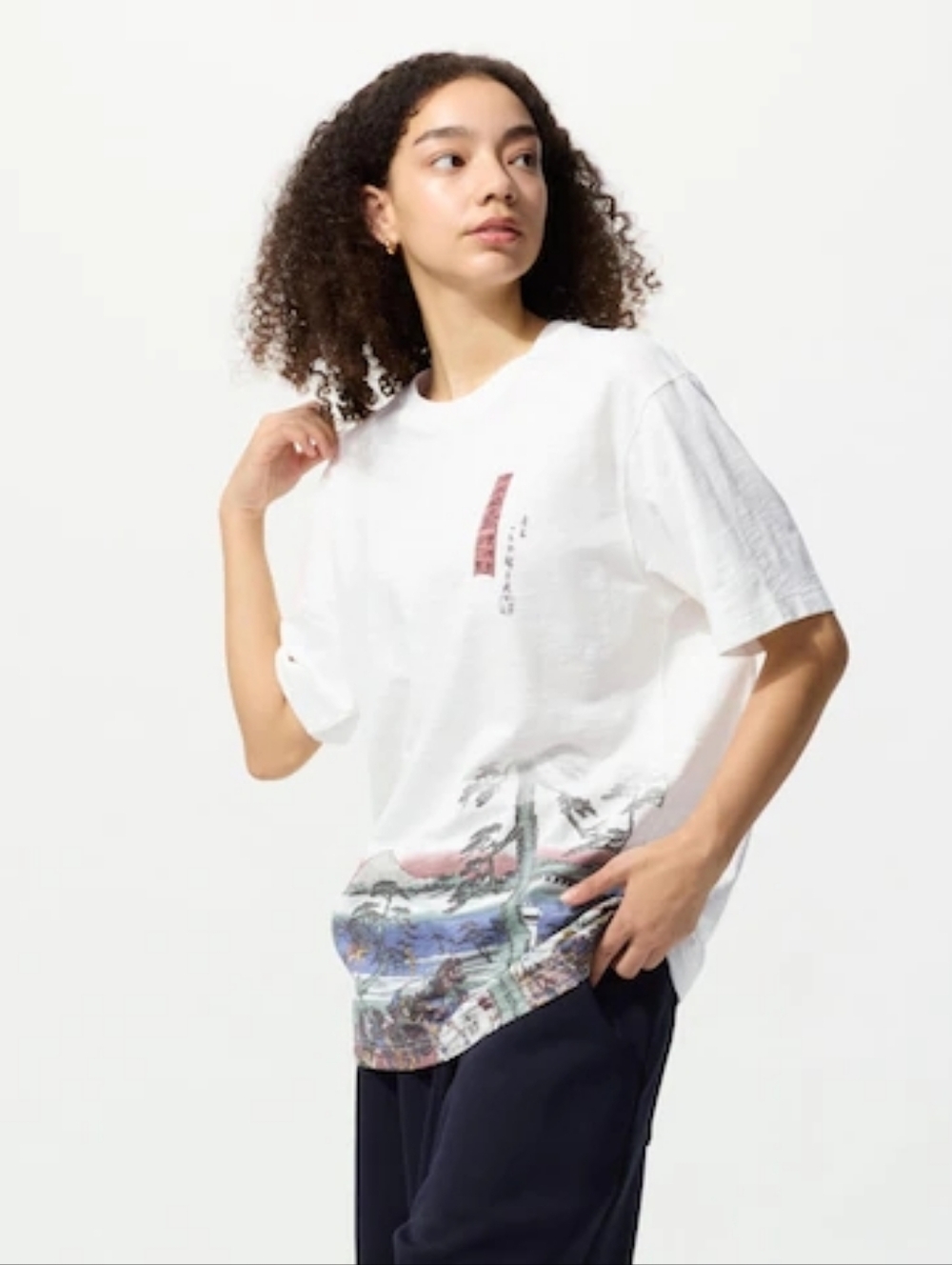 Uniqlo Museum Of Fine Arts Boston Ukiyo-e Heroes White Mountain Graphic T-Shirt